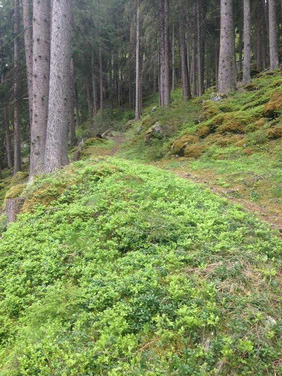 Apart Christa Kaunertal Eksteriør bilde