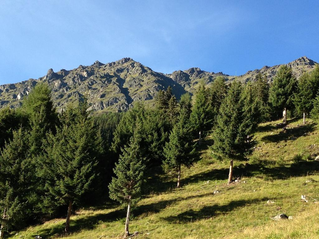 Apart Christa Kaunertal Rom bilde